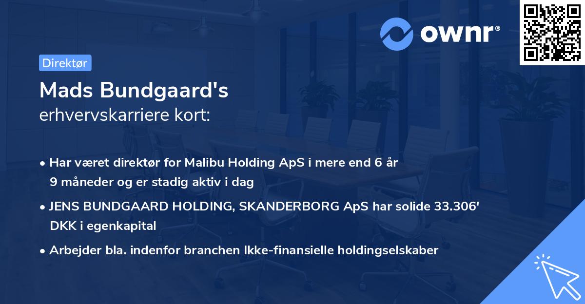 Mads Bundgaard's erhvervskarriere kort