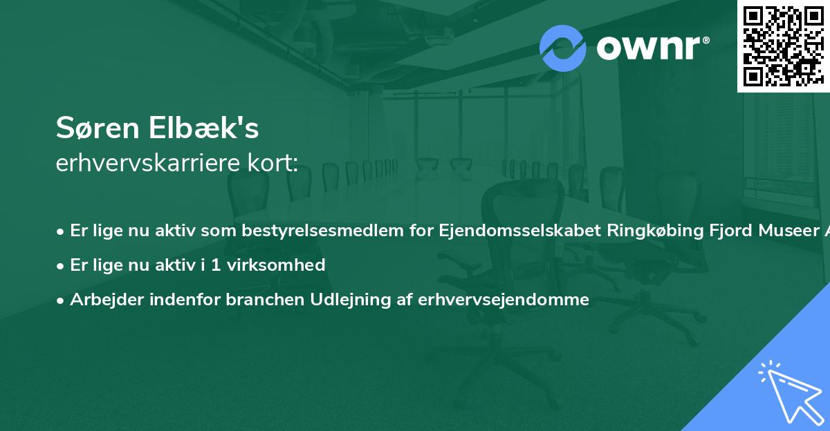 Søren Elbæk's erhvervskarriere kort