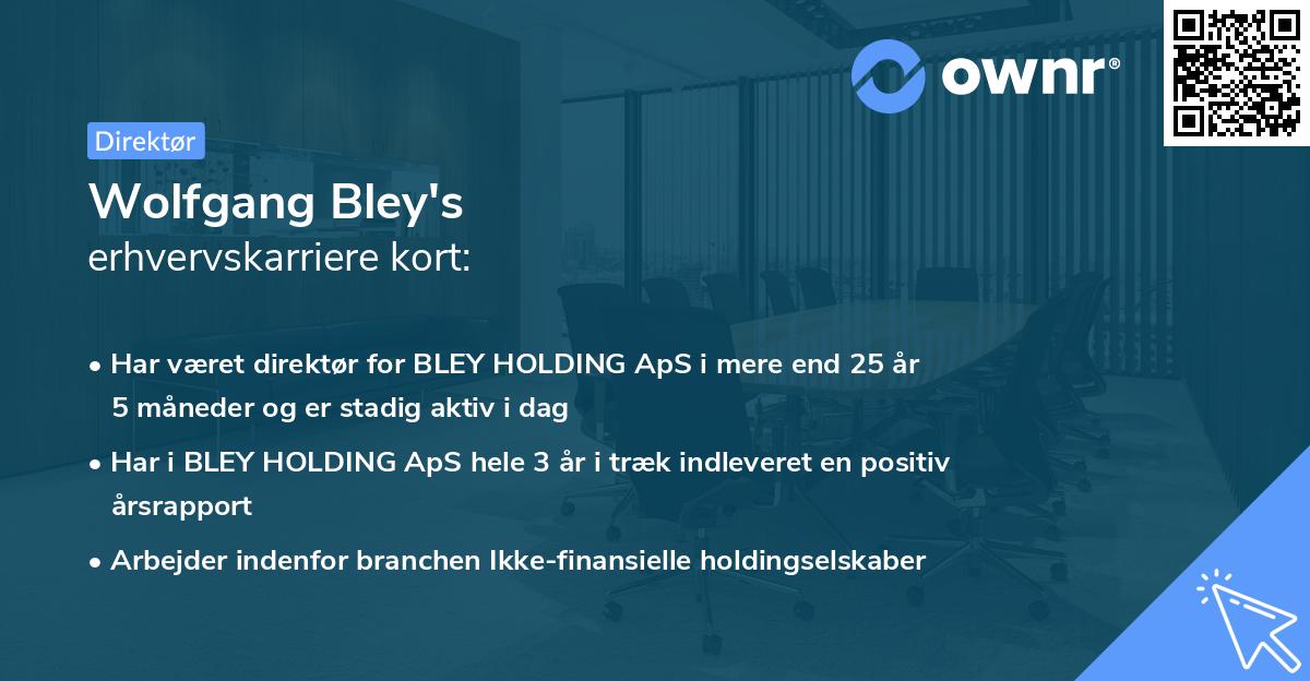 Wolfgang Bley's erhvervskarriere kort