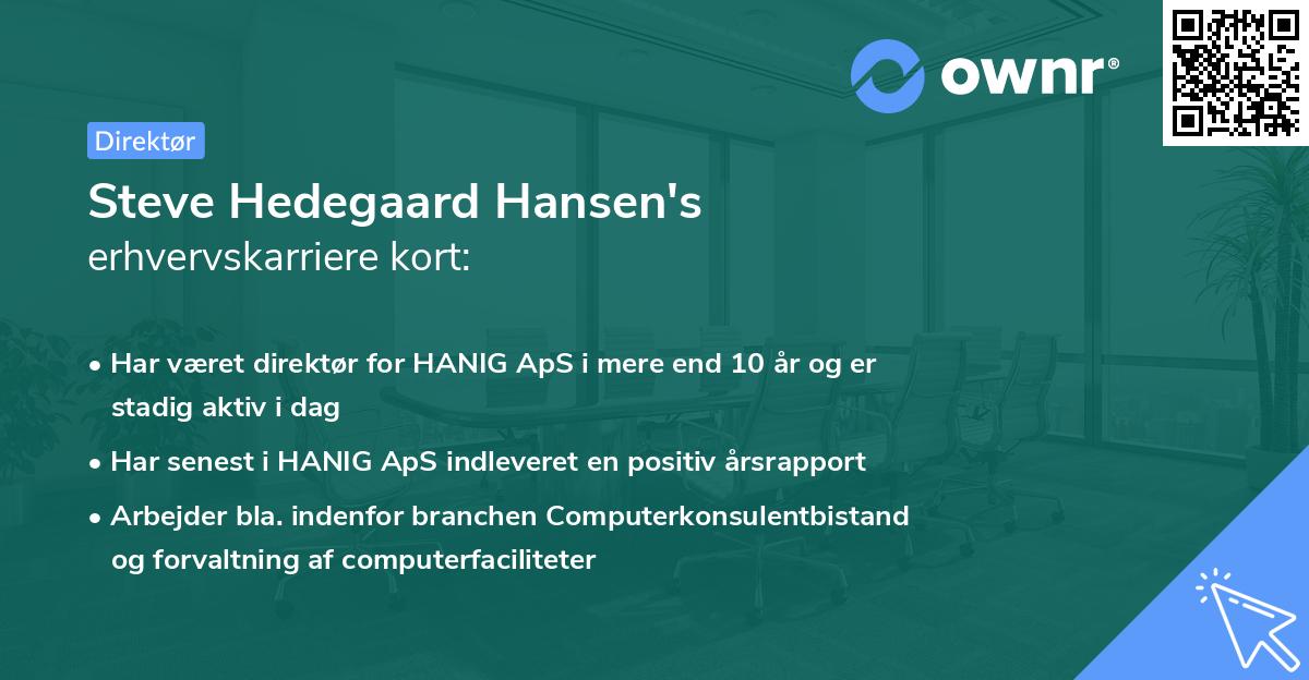 Steve Hedegaard Hansen's erhvervskarriere kort