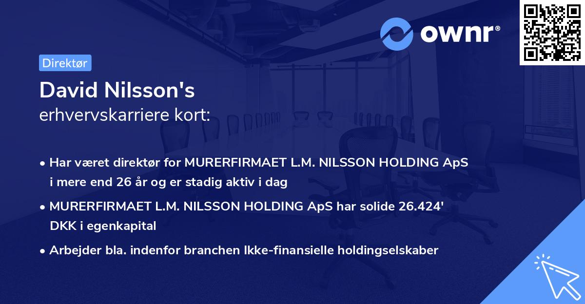 David Nilsson's erhvervskarriere kort