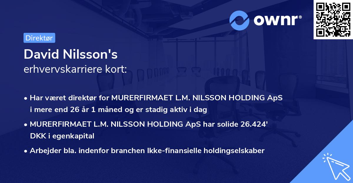 David Nilsson's erhvervskarriere kort