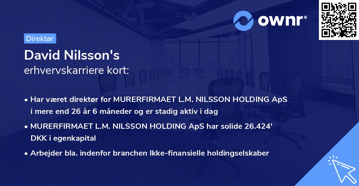 David Nilsson's erhvervskarriere kort
