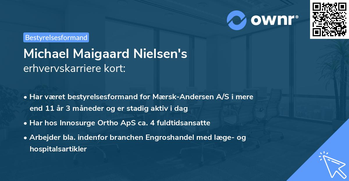 Michael Maigaard Nielsen's erhvervskarriere kort