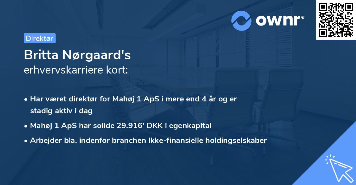 Britta Nørgaard's erhvervskarriere kort