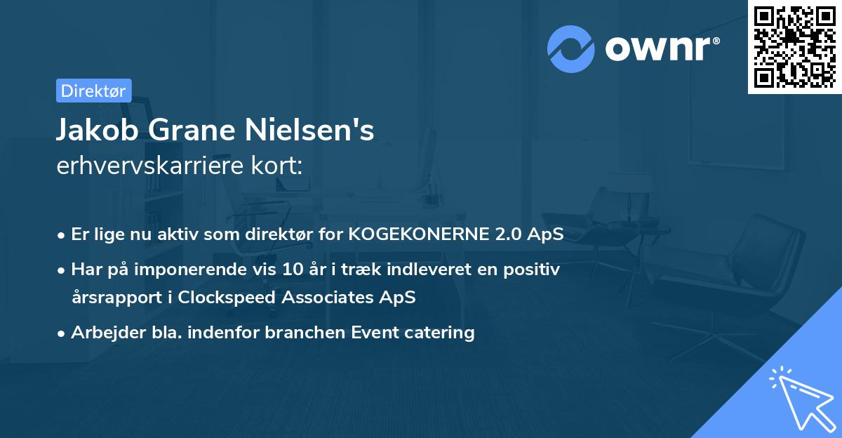 Jakob Grane Nielsen's erhvervskarriere kort