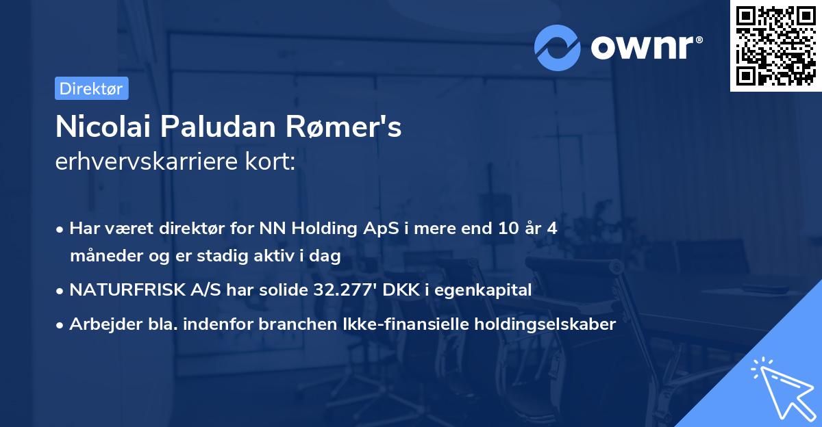 Nicolai Paludan Rømer's erhvervskarriere kort