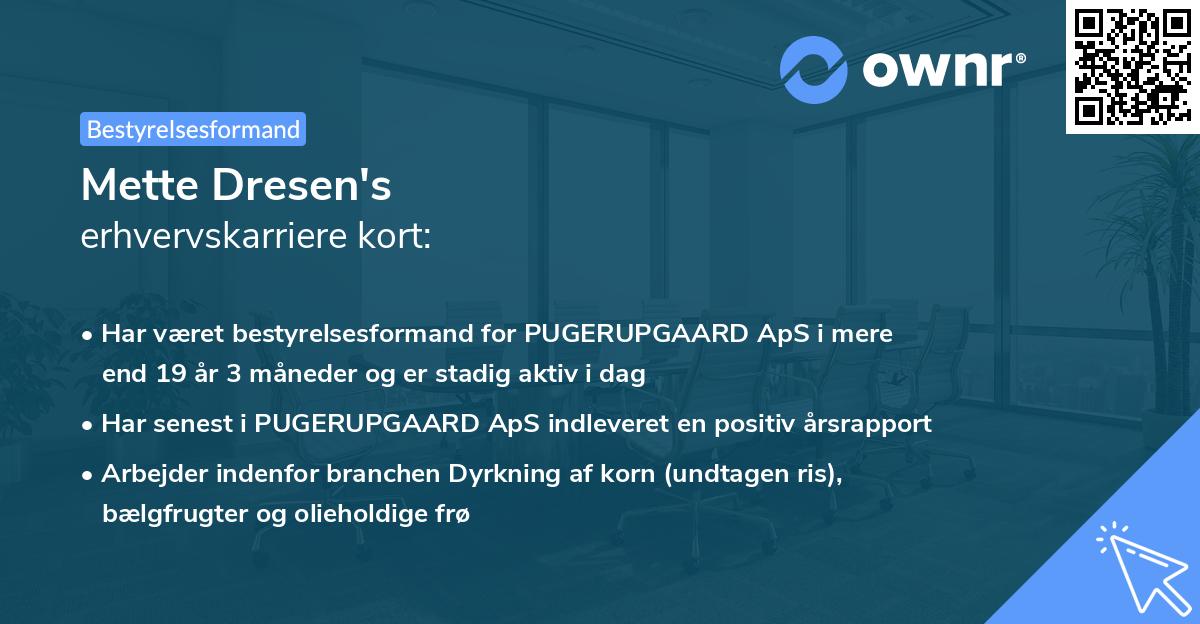 Mette Dresen's erhvervskarriere kort