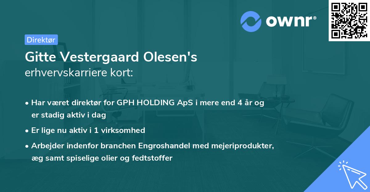 Gitte Vestergaard Olesen's erhvervskarriere kort