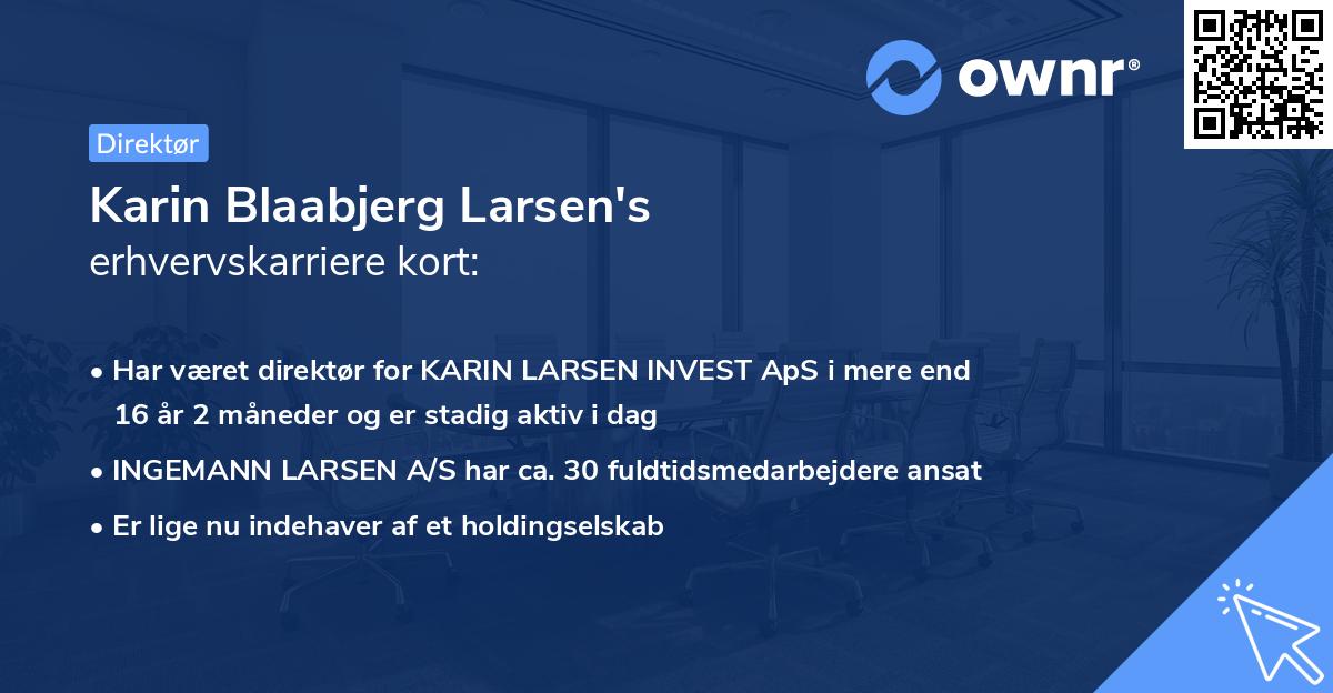 Karin Blaabjerg Larsen's erhvervskarriere kort