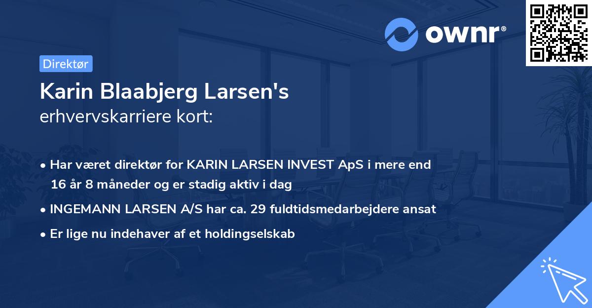 Karin Blaabjerg Larsen's erhvervskarriere kort