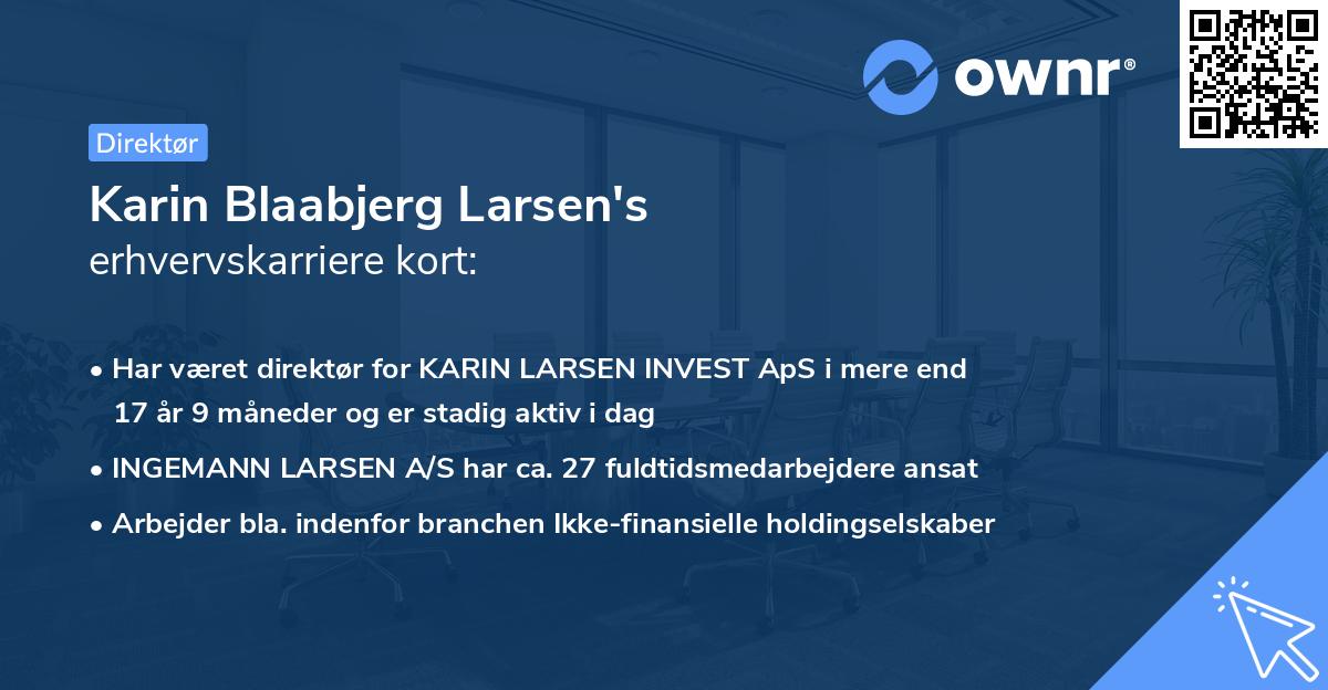 Karin Blaabjerg Larsen's erhvervskarriere kort