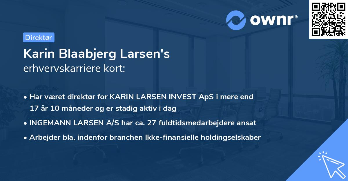 Karin Blaabjerg Larsen's erhvervskarriere kort