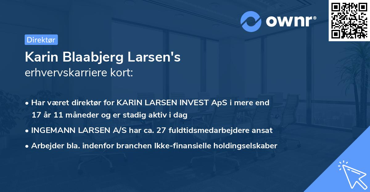 Karin Blaabjerg Larsen's erhvervskarriere kort