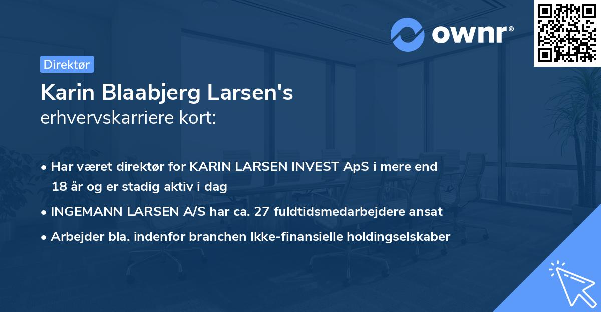 Karin Blaabjerg Larsen's erhvervskarriere kort
