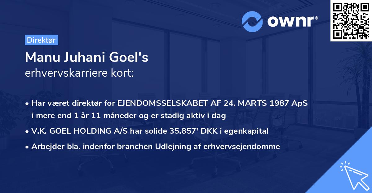 Manu Juhani Goel's erhvervskarriere kort