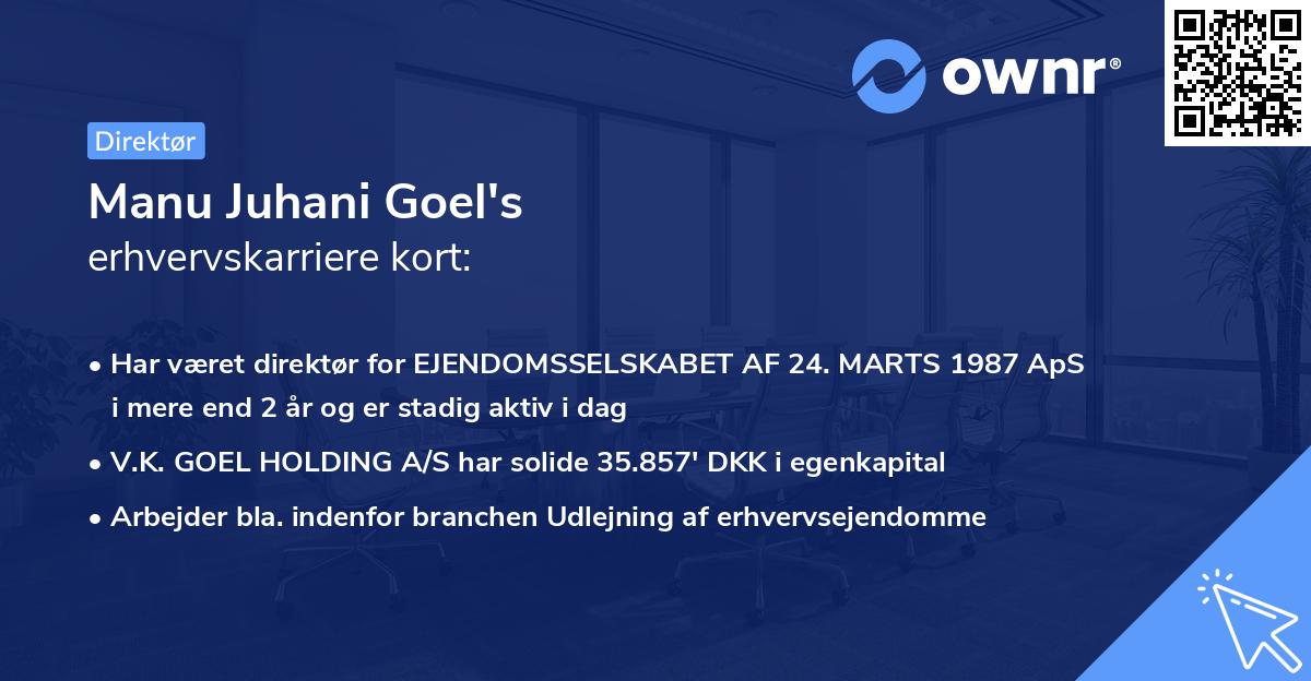 Manu Juhani Goel's erhvervskarriere kort