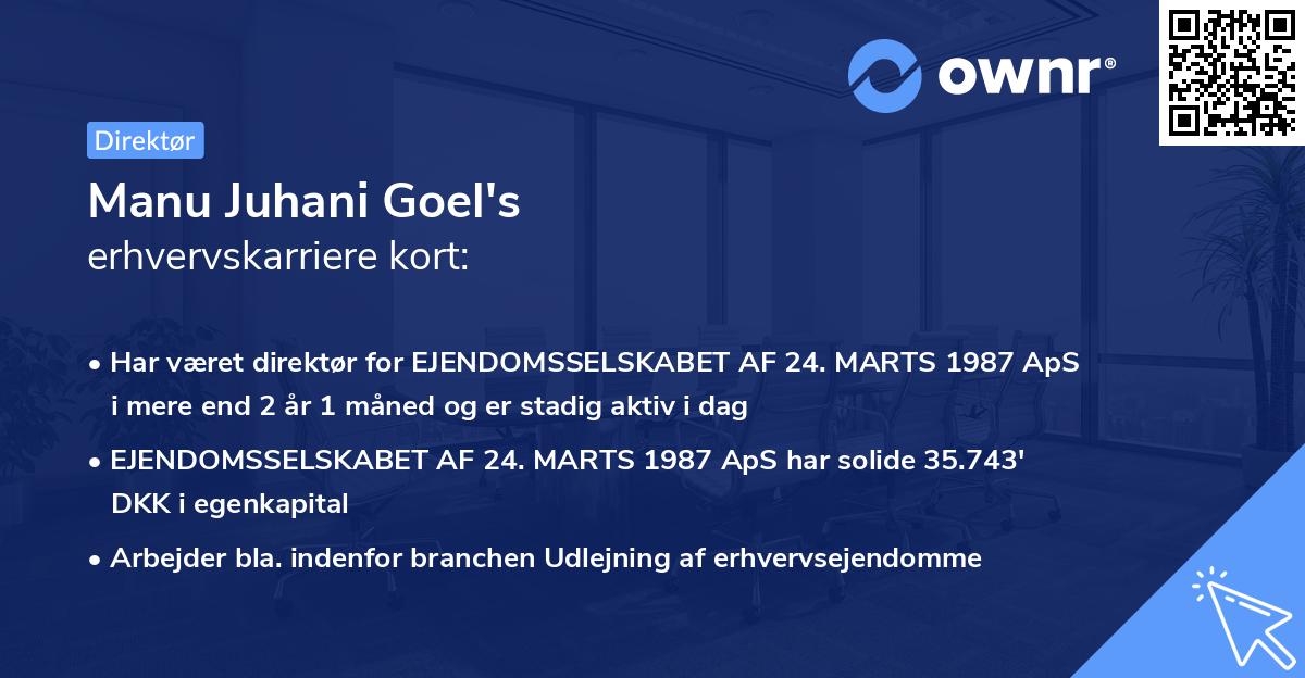 Manu Juhani Goel's erhvervskarriere kort