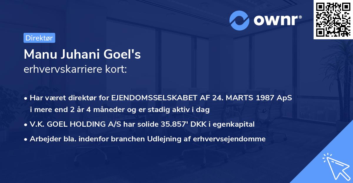 Manu Juhani Goel's erhvervskarriere kort