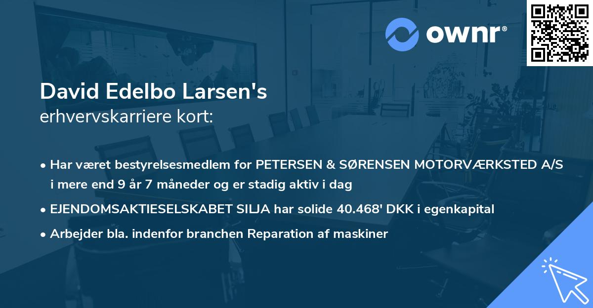 David Edelbo Larsen's erhvervskarriere kort