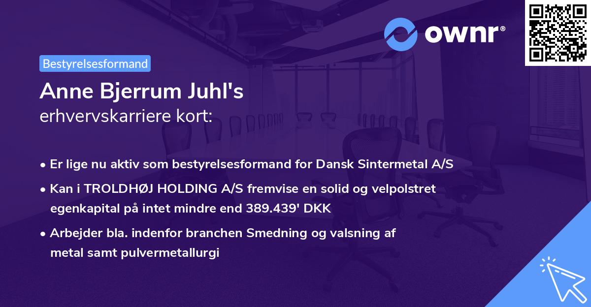 Anne Bjerrum Juhl's erhvervskarriere kort
