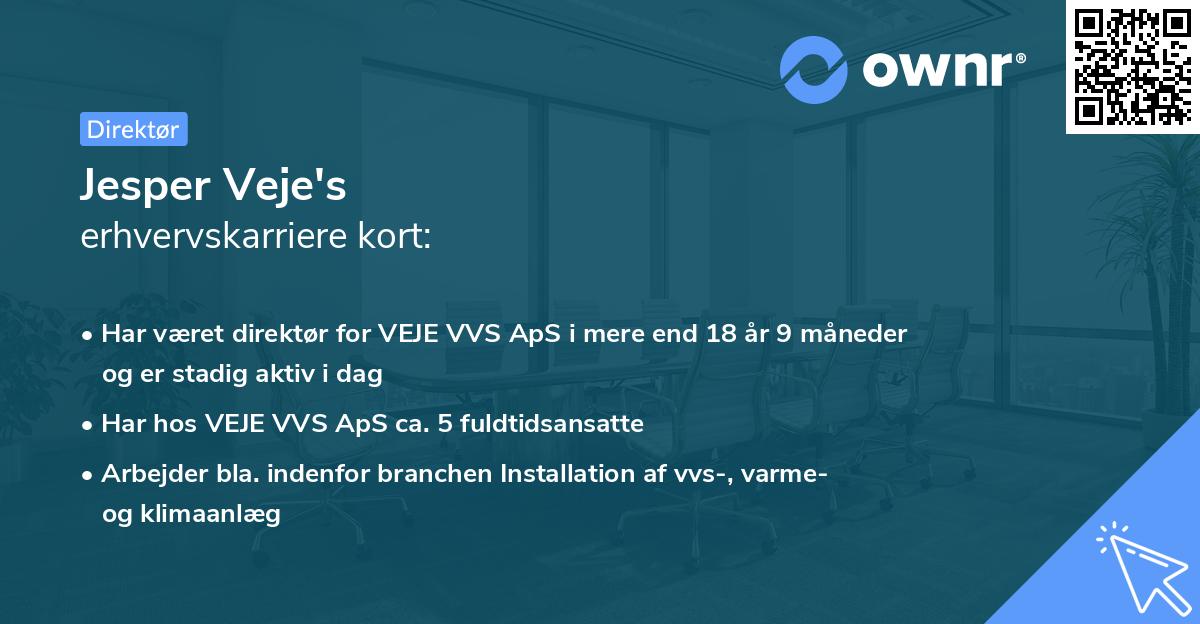 Jesper Veje's erhvervskarriere kort