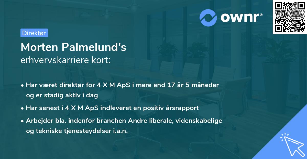 Morten Palmelund's erhvervskarriere kort