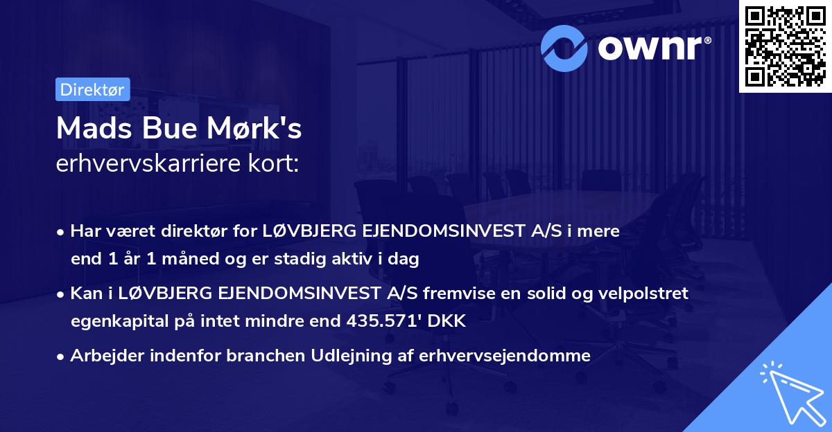 Mads Bue Mørk's erhvervskarriere kort