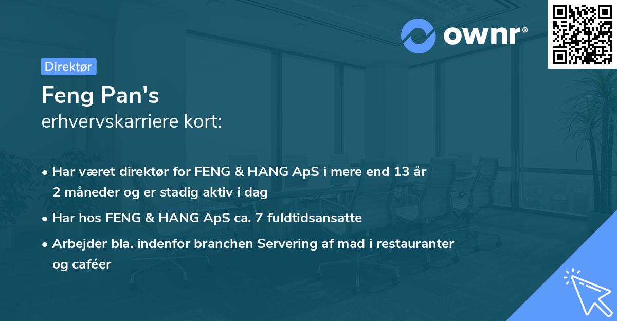 Feng Pan's erhvervskarriere kort