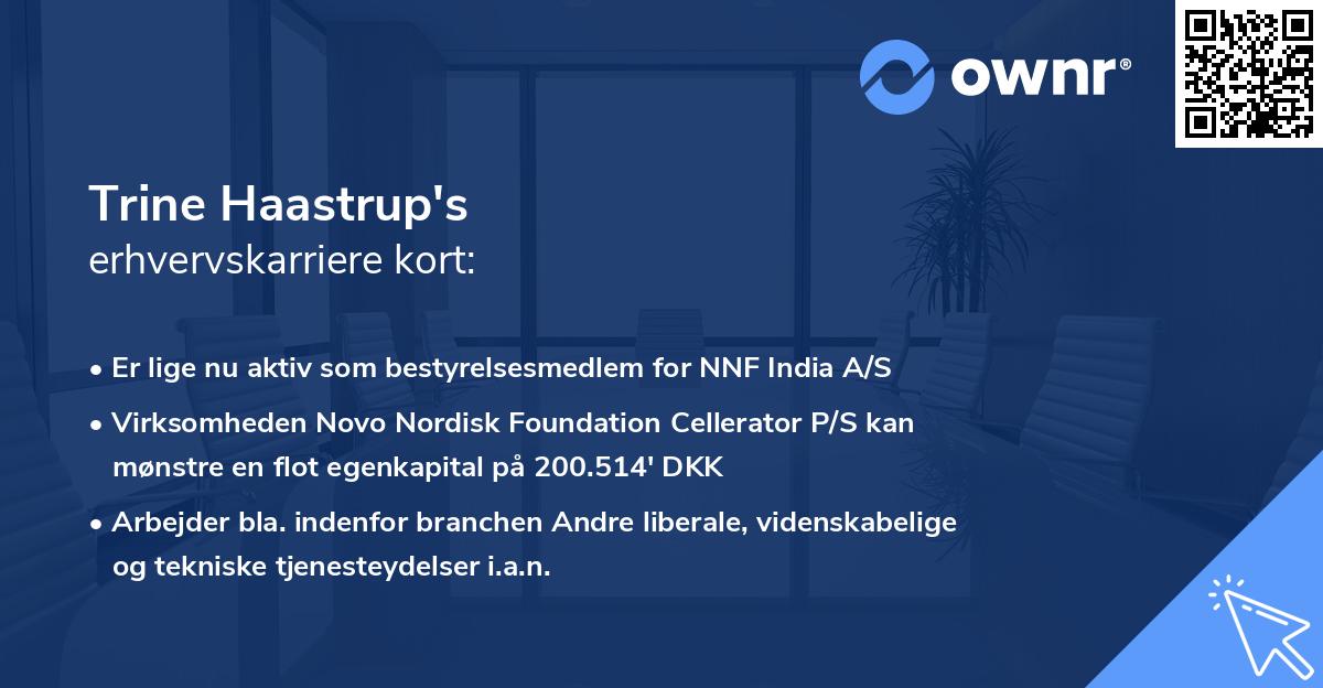 Trine Haastrup's erhvervskarriere kort