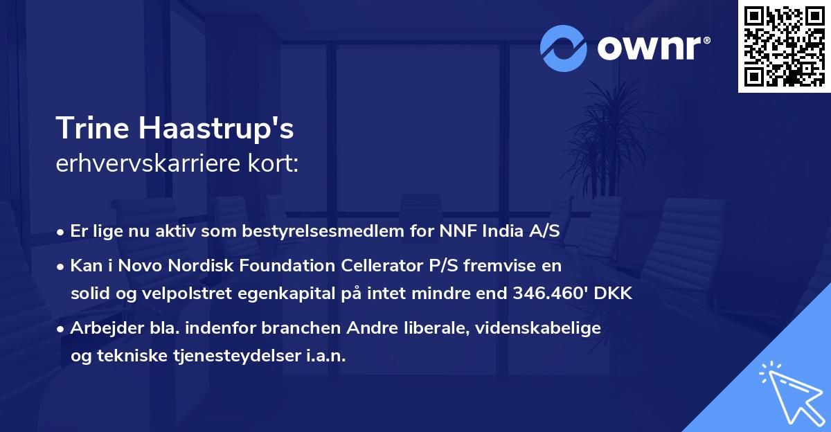 Trine Haastrup's erhvervskarriere kort