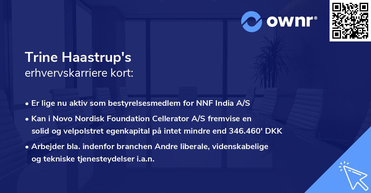 Trine Haastrup's erhvervskarriere kort