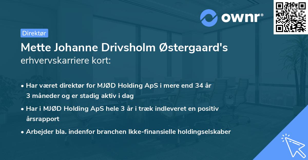Mette Johanne Drivsholm Østergaard's erhvervskarriere kort