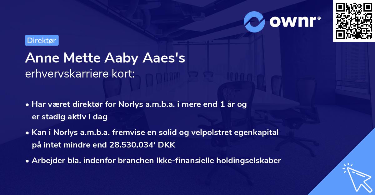Anne Mette Aaby Aaes's erhvervskarriere kort