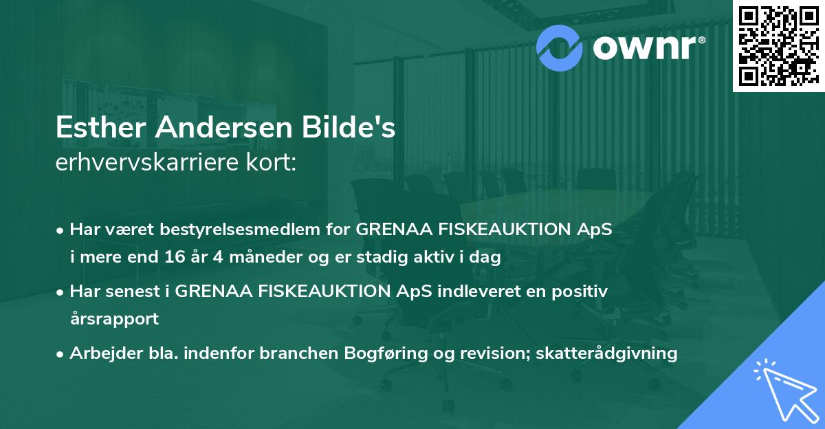Esther Andersen Bilde's erhvervskarriere kort