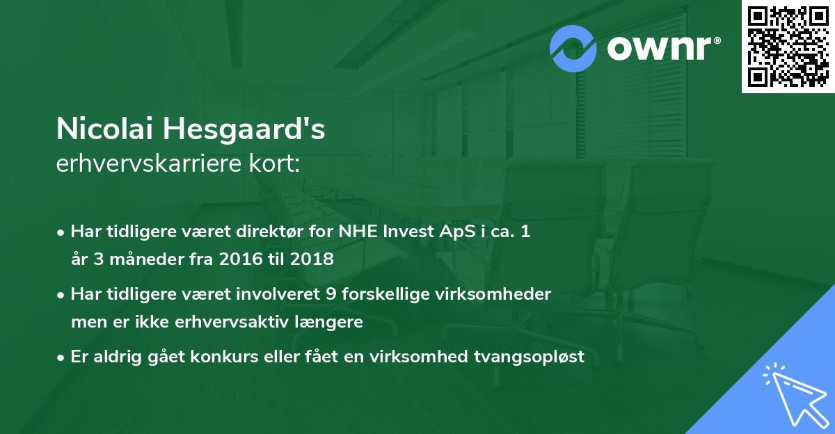 Nicolai Hesgaard's erhvervskarriere kort