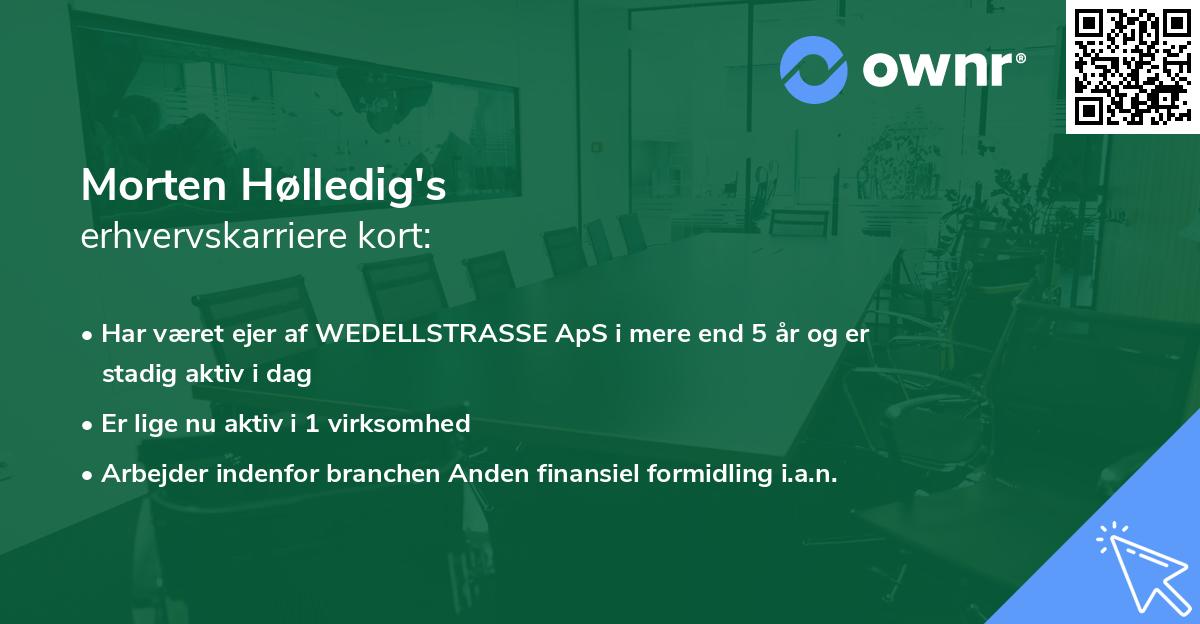 Morten Hølledig's erhvervskarriere kort