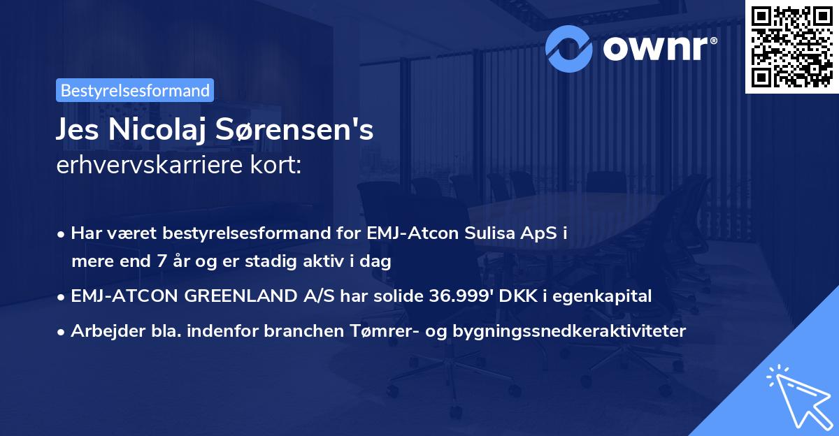 Jes Nicolaj Sørensen's erhvervskarriere kort