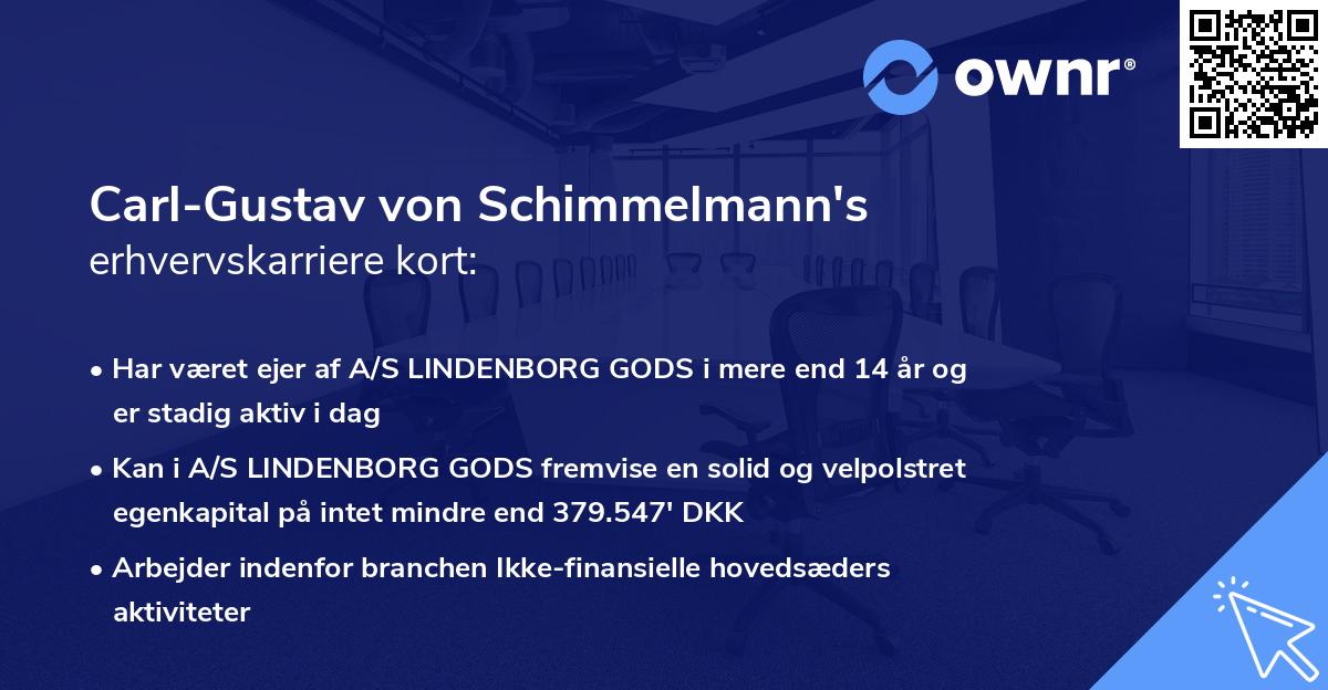 Carl-Gustav von Schimmelmann's erhvervskarriere kort
