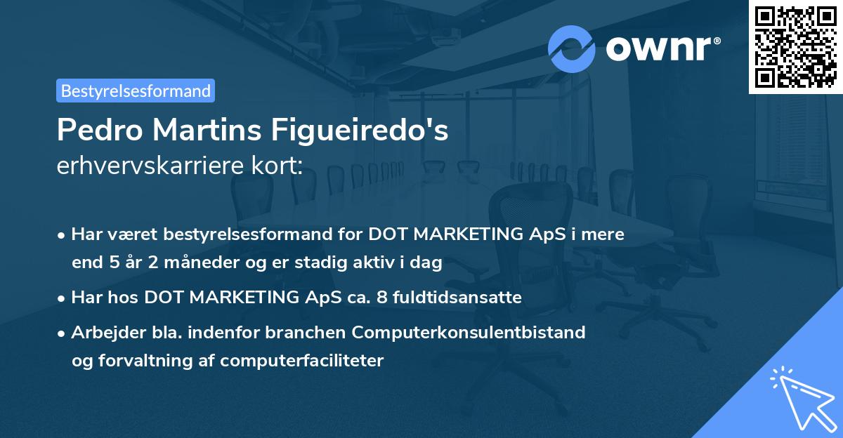 Pedro Martins Figueiredo's erhvervskarriere kort