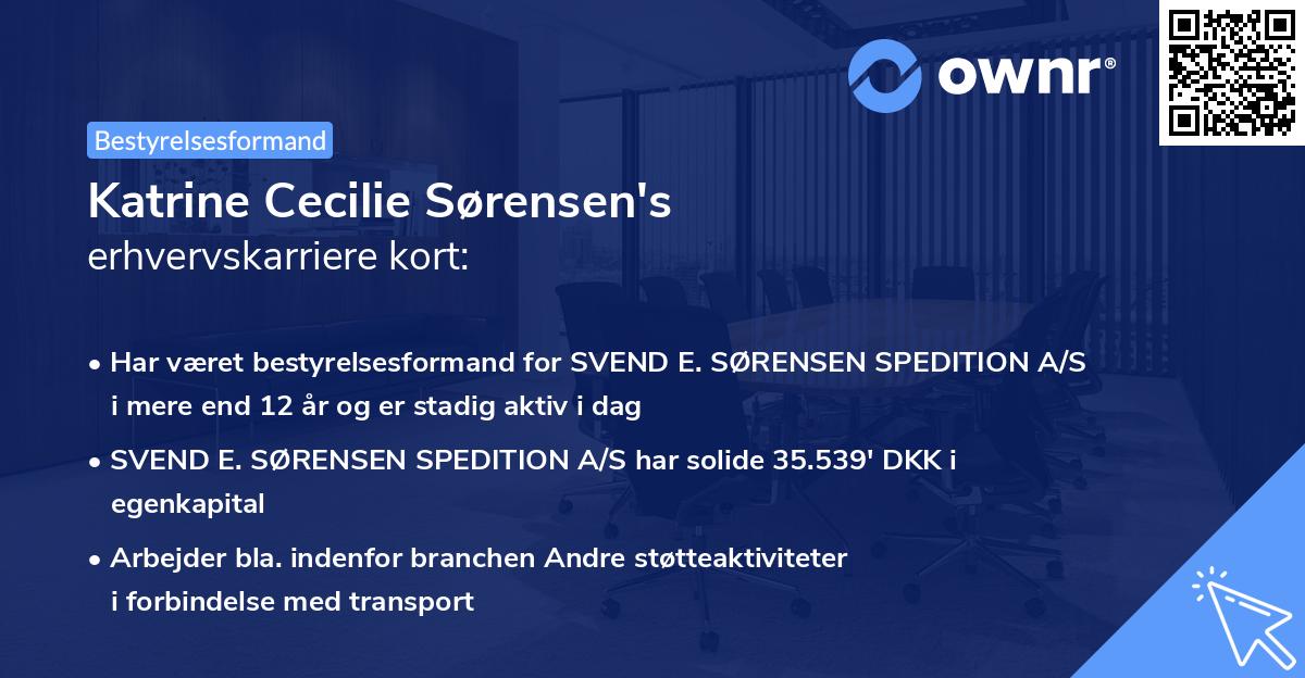 Katrine Cecilie Sørensen's erhvervskarriere kort