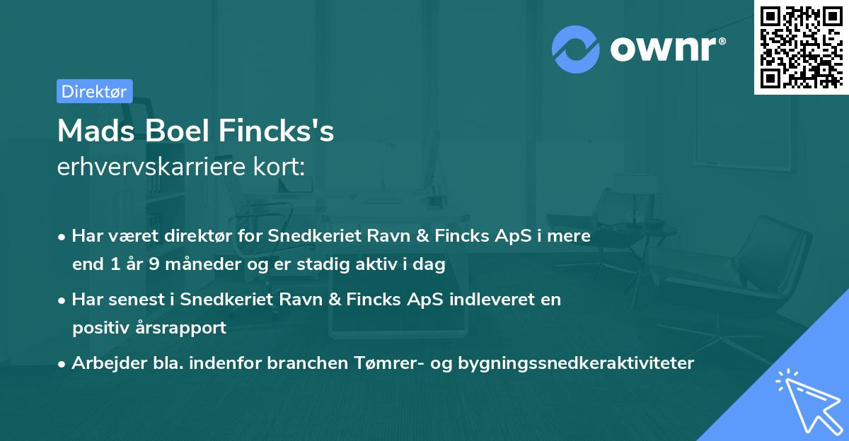Mads Boel Fincks's erhvervskarriere kort