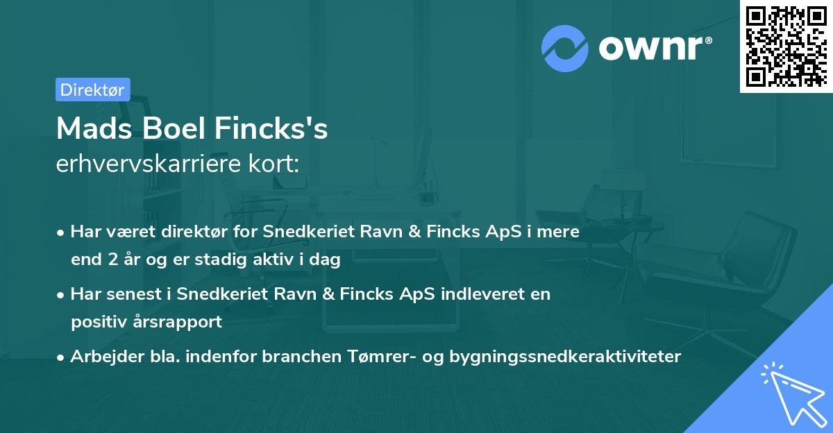 Mads Boel Fincks's erhvervskarriere kort