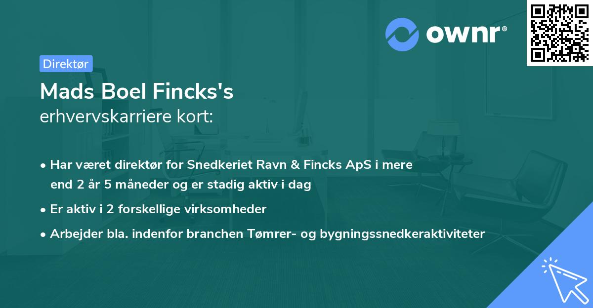 Mads Boel Fincks's erhvervskarriere kort