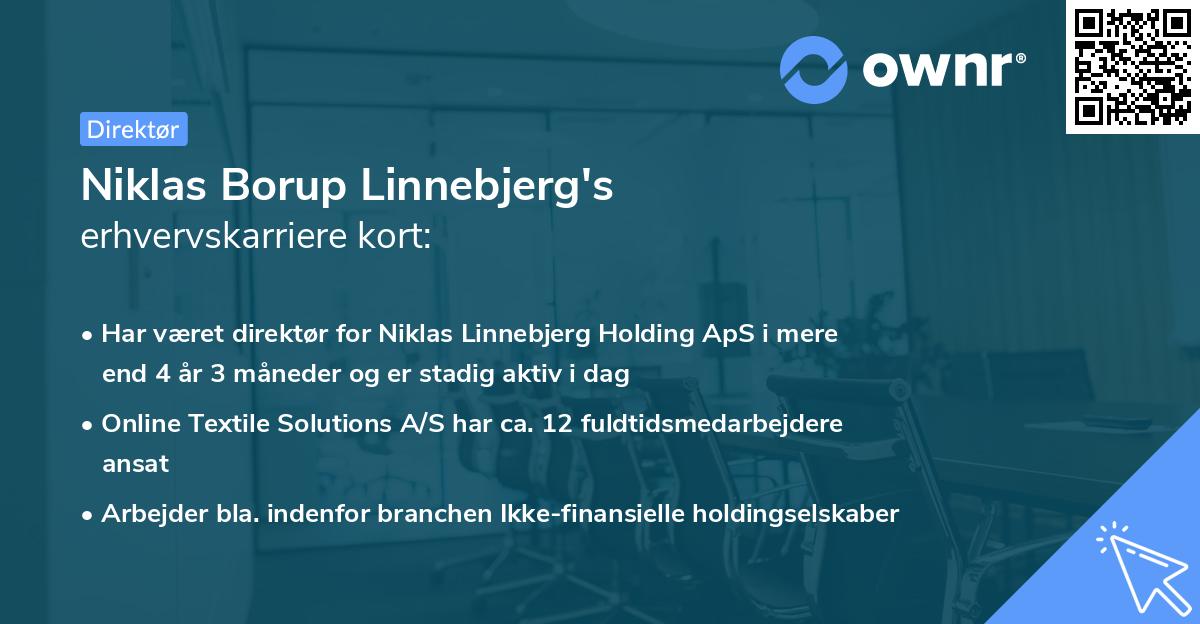 Niklas Borup Linnebjerg's erhvervskarriere kort