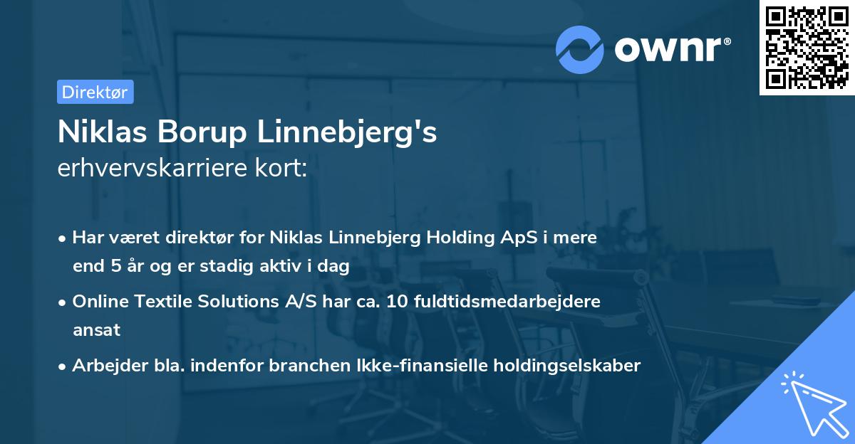 Niklas Borup Linnebjerg's erhvervskarriere kort