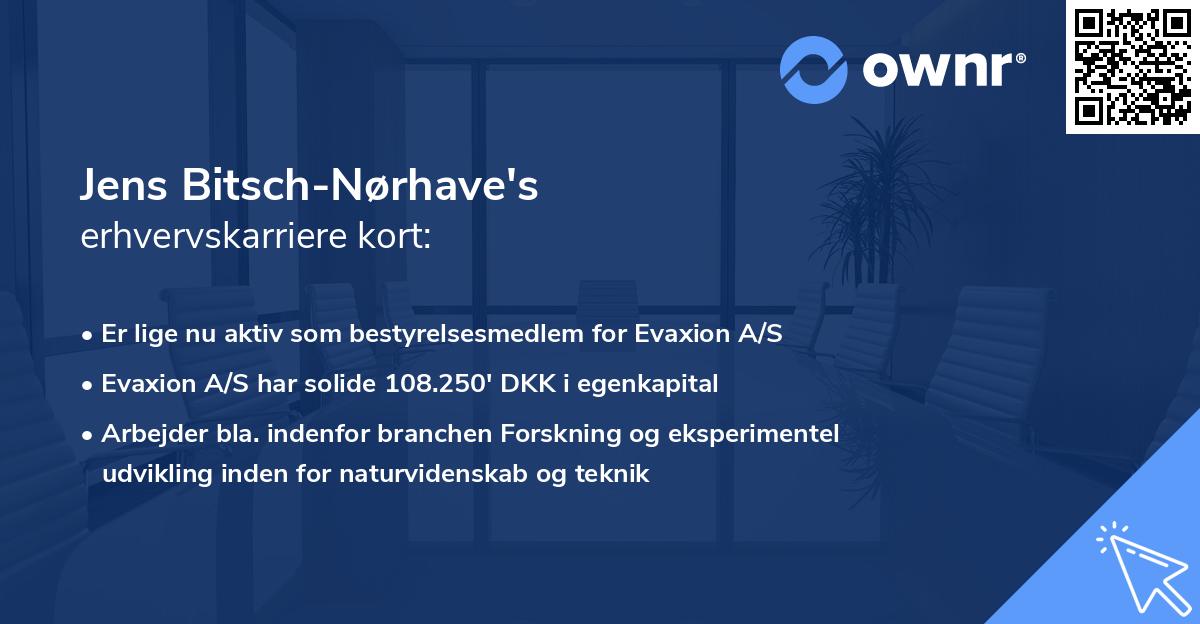 Jens Bitsch-Nørhave's erhvervskarriere kort