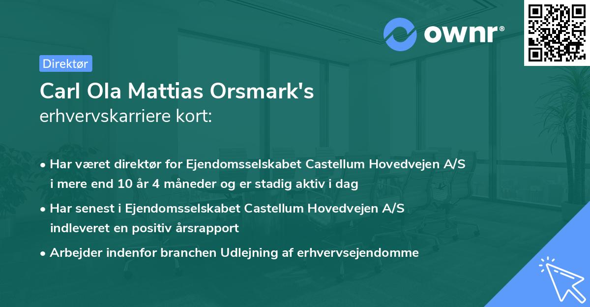 Carl Ola Mattias Orsmark's erhvervskarriere kort