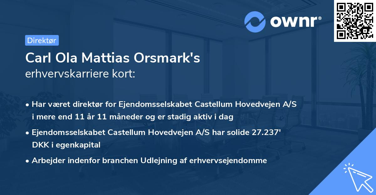 Carl Ola Mattias Orsmark's erhvervskarriere kort