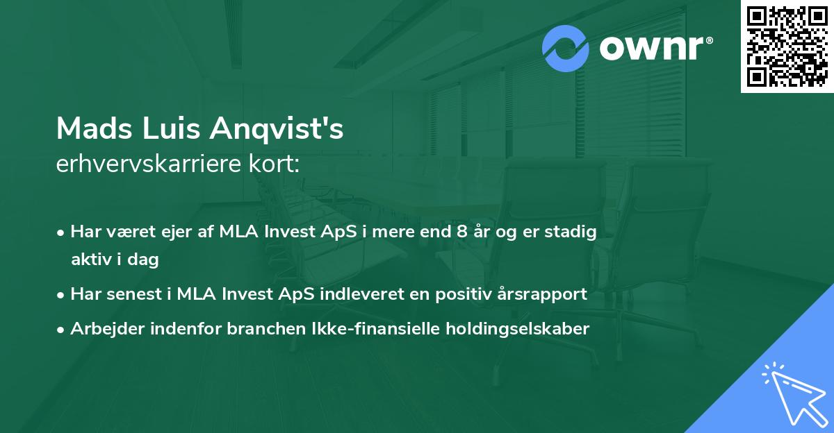 Mads Luis Anqvist's erhvervskarriere kort
